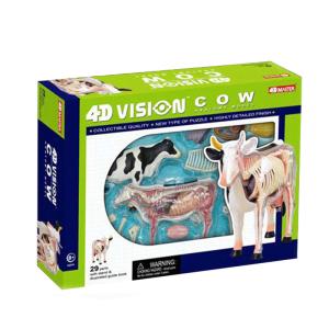 Educational Master 18cm 4d Anatomy Model 19 Parts