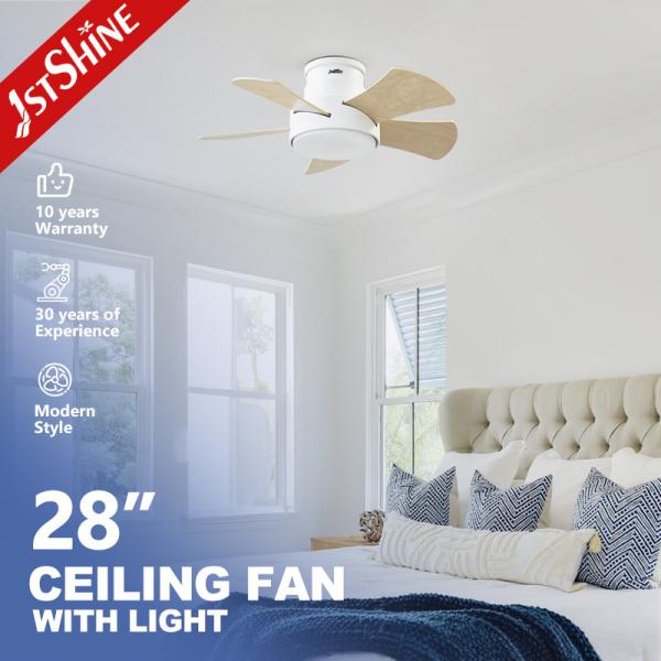 Energy Saving 28 Inch LED Ceiling Fan for Low Ceilings Metal Body and Flush