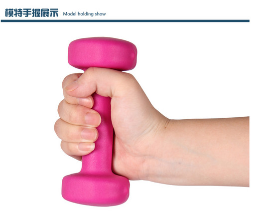 0.5kg -10kg 1lb-10lb colorful Vinyl coated / round edge dumbbell / cast iron