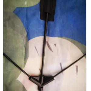 100*120cm 30m String Line Dinosaur Kite With Fiberglass Frame