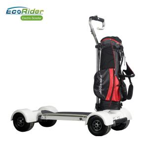 Exclusive Ecorider E7-2 Electric Golf Skateboard With Removable Handle Bar