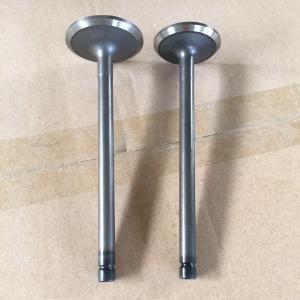 Automobile Engine Valve B13 GA16 Intake Exhaust Valve For Nissan 13201-53Y00