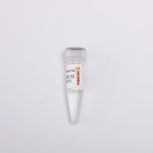 Cheap 20000U RNase Inhibitor Enzyme From Murine R4001 for sale