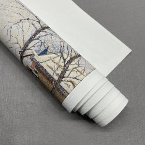 Waterproof 260gsm Eco Solvent Inkjet Glossy Polyester Canvas Roll For Roland