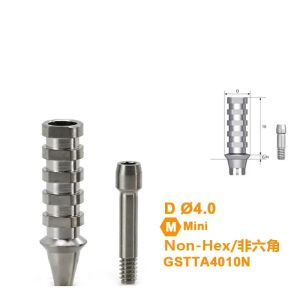Osstem GS(TS)® HIossen® Titanium Temporary Abutment Compatible with Mini /