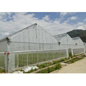 Cheap Greenhouse With Manual Or Motor Roll Up Vent System For Natrual Ventilation for sale