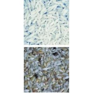 WENYAO 2 chutes Rice Sorting Machine Intelligent dust cleaning system