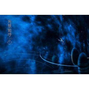 Holo Gauze Screen 3D Holographic Projection System Hologram Live Show