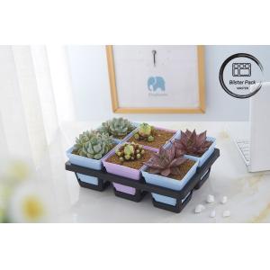 Multi Size Plastic Seedling Trays 6, 12, 20, 24, 40 Cells Durable for Gardening