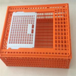 Pure PE Poultry Carrier Crate Chicken Transport Cage Customized