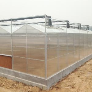 Hydroponic System for Aquaponics in Multi-Span Agricultural Greenhouse