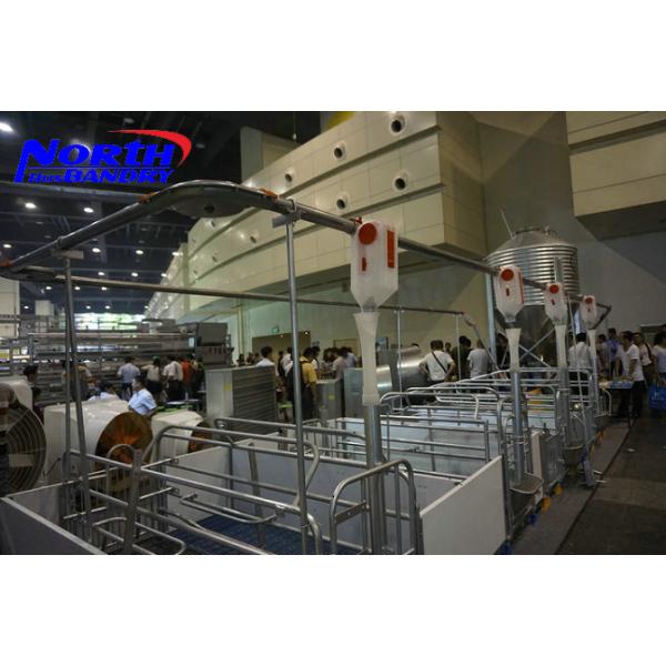Quality labor saving automatic pig feeding system with high quality wholesale