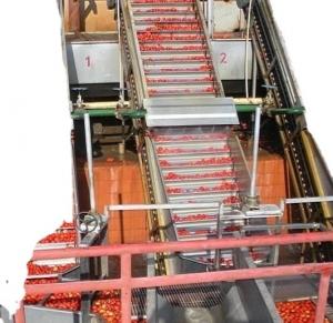 Cheap 4000-6000bph Fruit Juice Filling Production Line For Apple Juice /Orange Juice / Tomato Paste for sale