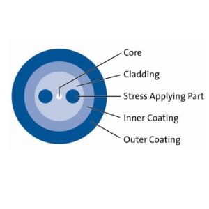 Bow-Tie Polarization-Maintaining (PM) PM Dispersion-Compensating Single Mode