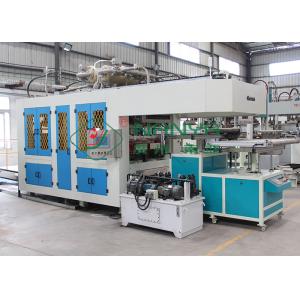 CE Pulp Molding Equipment for Disposable Sugarcane Bagasse Fiber Tableware