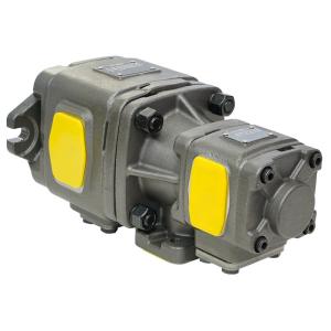 HG Series Double Gear Pump Hydraulic Internal Gear Pump HG10 HG11 HG21 HG22