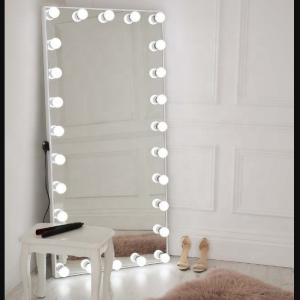 Full Length Hollywood 50x Magnifying Mirror Customzied
