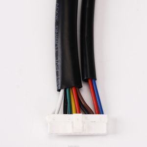 Customized Design 20AWG Wire Harness with 100% Testing Inspection and RoHS