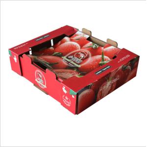 Custom Cardboard Paper Fruit Vegetable Suitcase Cardboard Box Packaging Tomato
