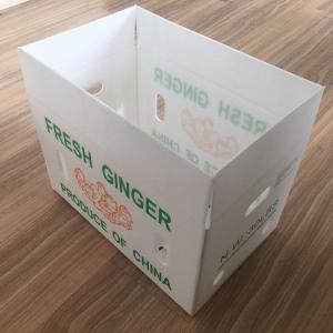 PP Cartonplast Fruit Vegetable Corrugated Boxes For Grapes Broccoli
