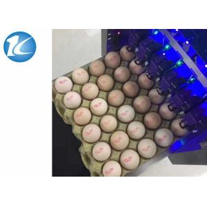 Automatic Ink Jet Egg Coding Machine With 6 Print Heads Easy Operation