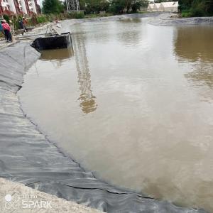 Smooth Surface 0.75mm HDPE Geomembrane for Fish and Shrimp Pond Liner Farming