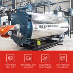 Package Low Pressure 600000 Kcal Cng Biogas Oil Fired Hot Oil Boiler For Wood