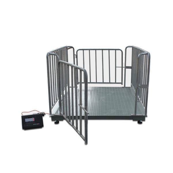 Quality 2000KG Capacity Digital Livestock Scales , Electronic Cattle Weighing Scales wholesale