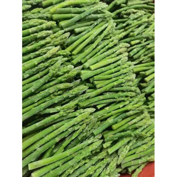 Quality Get the Best Frozen Vegetable for Your Business Needs Green Asparagus wholesale