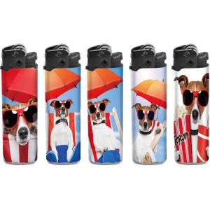 Model NO. DY-077 Custom Plastic Disposable Lighter with Big Printing Gas