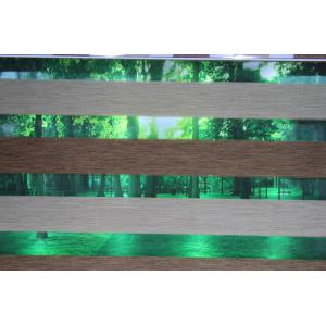 Zebra blinds fabric/Motorised zebra roller /new design zebra blinds fabric,white