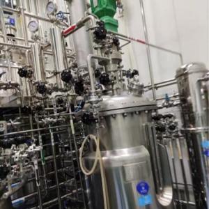 Sanitary 3a Magnetic Mixer Agitator Stainless Steel Bottom Stirrer