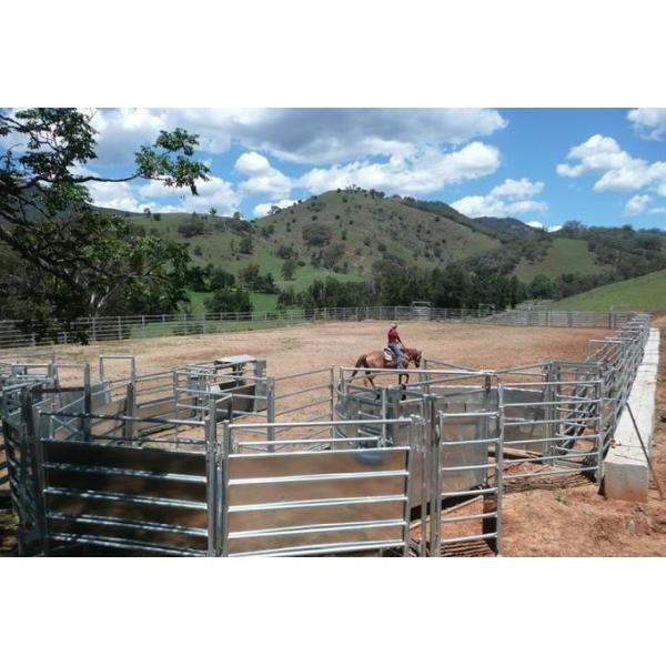 Horse Round Yard