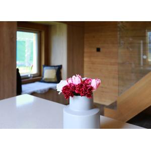 Quick Assemble Modular Holiday Wooden Home Prefabricated Longlife Garden Studio