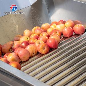 Fruit bubble washing and sorting production line Fruit Vegetable FOOD processing