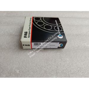China FAG Cylindrical Roller Bearing N1010K.M1.SP on sale