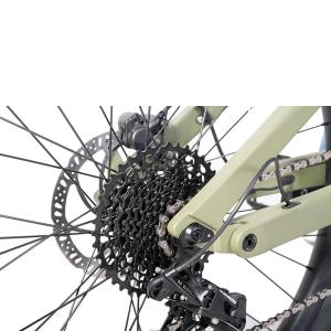 1000W Central Motor Carbon Fiber Frame Electric Mountain Bike with 11 Speed