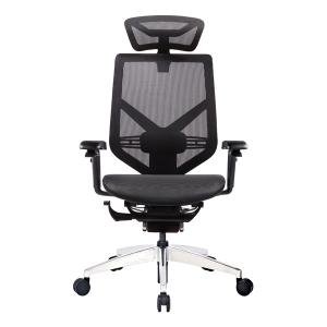 Aluminum Backrest Height Adjustable 3D Headrest 5D Armrest Mesh Back Office
