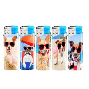 Customization Plastic Dy-026 Cartoon Figure Label Camping Electronic Gas Lighter