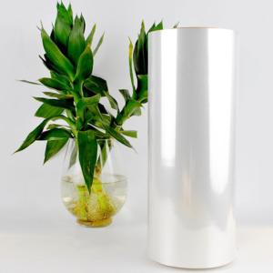 Cheap Polylactic Acid Sheet Biodegradable Clear PLA Sheet Roll for sale