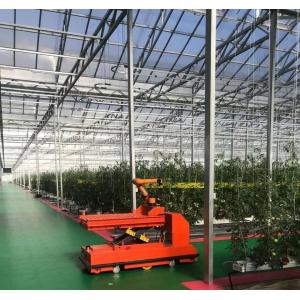 Double Layer Vegetable Planting Greenhouse with Drip Irrigation and Steel