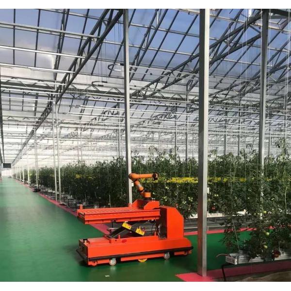 Quality Double Layer Vegetable Planting Greenhouse with Drip Irrigation and Steel Structure wholesale