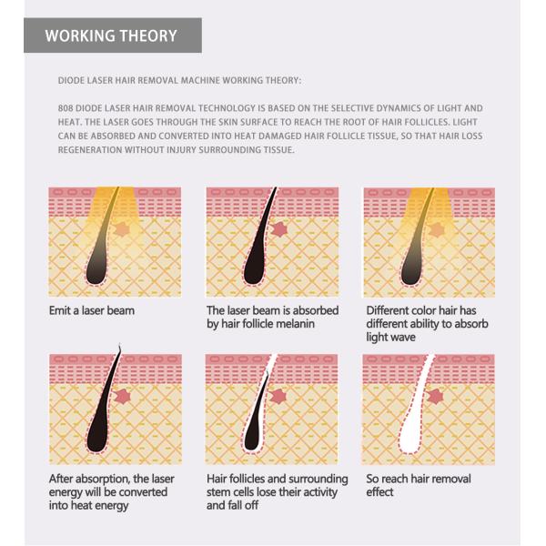 3 Wavelength 808nm 755nm 1064nm Diode Laser Hair Removal Device with Ice Titanium