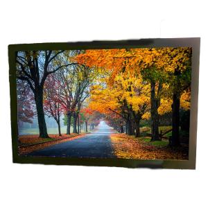 27 Inch Lcd Panel Open Frame Touch Screen Monitor 1000nits Digital Tin 110