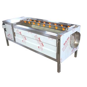 Automatic Roller Brush Nuts Soybean Potato Ginger Carrot Peeling Machine SGS