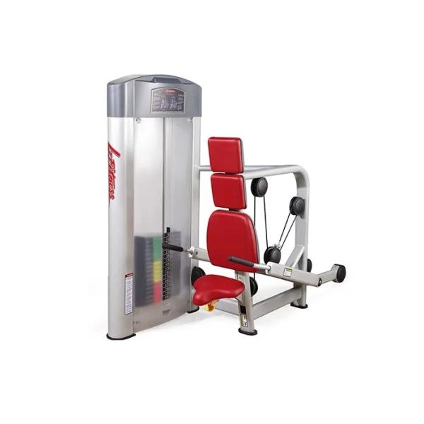 Quality Sliver Frame HS Gym Equipment , Bodybuilding Tricep Press Machine wholesale