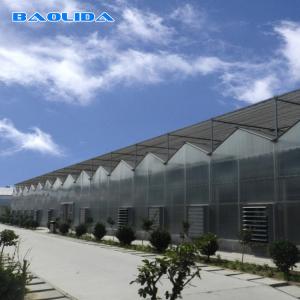 China Commercial Blackout Polycarbnote Sheet Greenhouse Customized Eco Friendly on sale