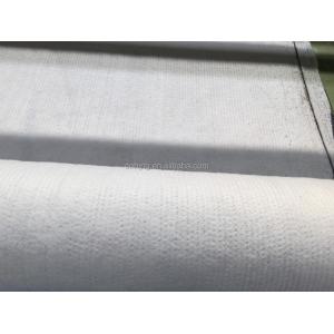 Villa Design Style 5500g/m2 ASTM Waterproof Bentonite Geotextile Geosynthetics