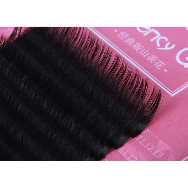 Volume 3D Eyelash Extensions PBT Material 0.05mm Thickness Private Label