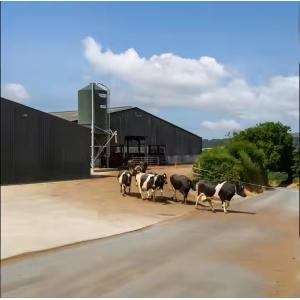 Farmhouse Style Steel Structure Cow Shed Prefabricated Temporary Storage